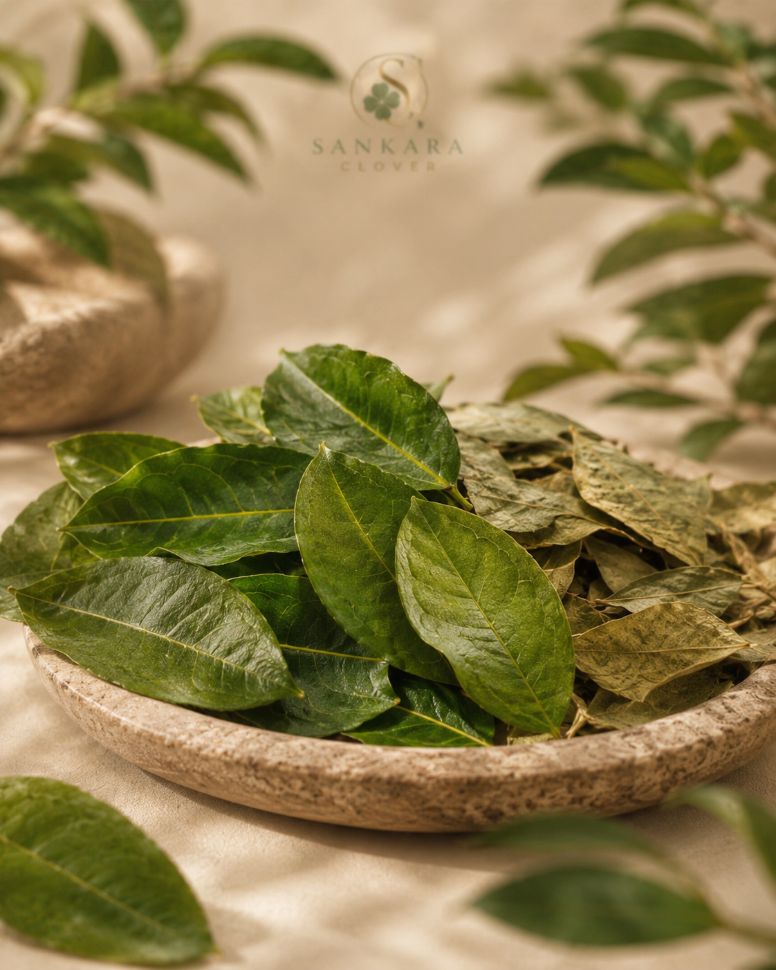 Hayo – Hoja de coca seca