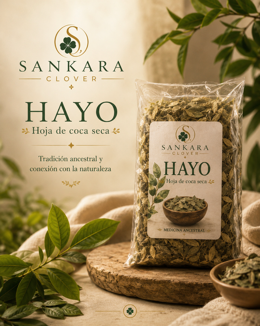 Hayo – Hoja de coca seca